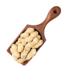 بادام زمینی غلاف دار برشته