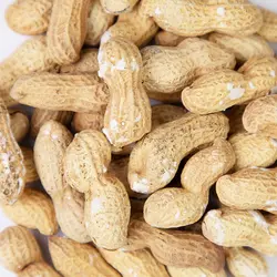 بادام زمینی غلاف دار برشته