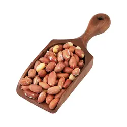 بادام زمینی  استانه