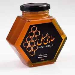 عسل چندگياه-600 گرميPolyfloral Honey-600gr