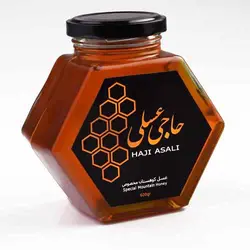 عسل كوهستان مخصوص-600 گرميSpecial Mountain Honey-600gr