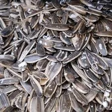 تخمه آفتاب گردان ایرانی خال نمک حاج مسعود5 کیلو گر