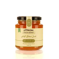 عسل سماق کوهی 400 گرمی