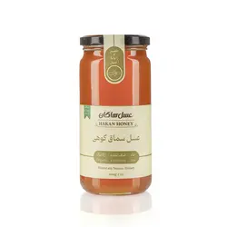 عسل سماق کوهی 600 گرمی