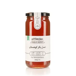 عسل بکر کوهستان 600 گرمی (ویژه وزین)