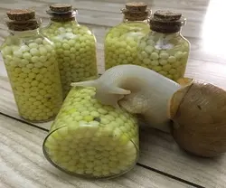 تخم (خاویار) تازه حلزون