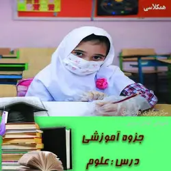جزوه کمک آموزشی علوم چهارم ابتدایی درس 1-13