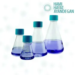 فلاسک ارلن مایر PETG Erlenmeyer Flask - حامی حیات آیندگان