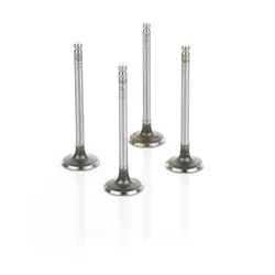 سوپاپ اونجر تعمیر 2 (ساوه – STYM) پیکان عظام کد 3123022