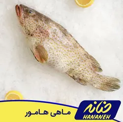 ماهی هامور - حنانه