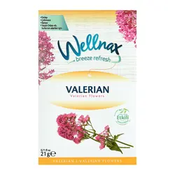 خوشبوکننده کمد ولناکس WELLNAX رایحه گل سنبل الطیب 21 گرم