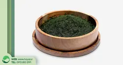 خرید و قیمت شوید کوهی ؛ خرید عمده