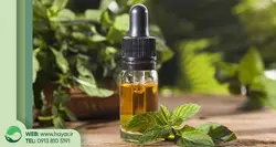 خرید و قیمت اسانس نعناع؛ خرید عمده