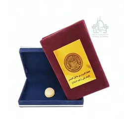 نگین حرم امام علی(ع)
