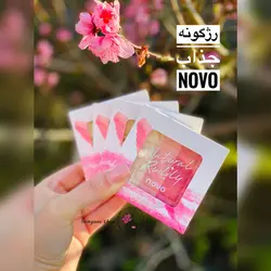 رژگونه و هایلایتر ۳ رنگ از برند novoقشنگ ترینthree color gradient blush novo