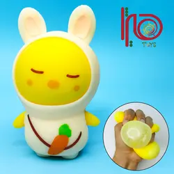 فیجت جوجه لباس دار