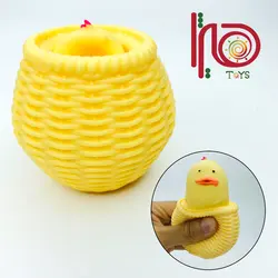 فیجت جوجه سبدی