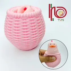 فیجت جوجه سبدی