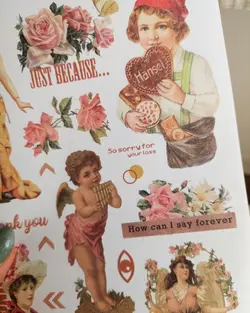 پک کاربردی ۲۱