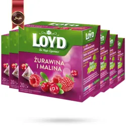 چای کیسه ای لوید LOYD مدل زغال اخته و تمشک cranberry & raspberry پک 20 تای بسته 6 عددی