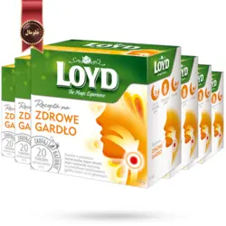 دمنوش کیسه ای هرمی لوید LOYD مدل مراقبت گلو support throat پک 20 تایی بسته 6 عددی