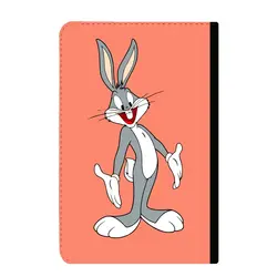 دفتر کلاسور باگز بانی کد 157