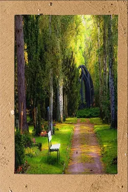 نیمکت مسیر جنگل سبز حوله ساحلی طرحدار سه بعدی