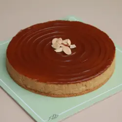 چیزکیک یخچالی لوتوس