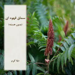 سماق قهوه ای