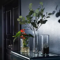 شاخه اکالیپتوس