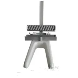 کباب زن نگین