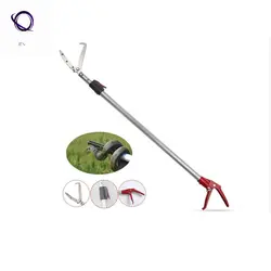 انبر مارگیری