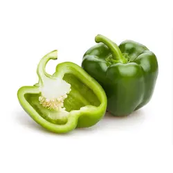فلفل دلمه سبز دستچین شده