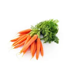 هویج تازه دستچین شده