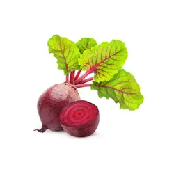 چغندر لبو شیرین و درجه یک