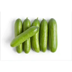 خیار بوته ای دستچین شده