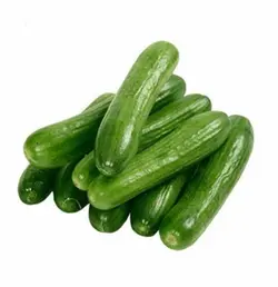 خیار گلخانه ای دستچین شده