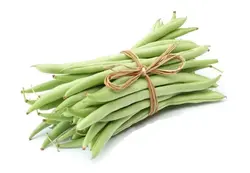 لوبیا سبز درجه یک