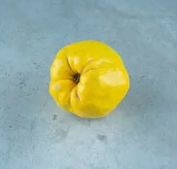 به دستچین شده اصفهان