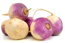 شلغم تازه دستچین شده