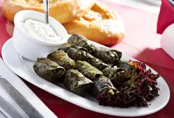 دانلود تصویر شاتراستوک دلمه برگ داخل دیس چینی و ماست یونانی و نان کد۰۵۷۲۰۰۲۶۰۴