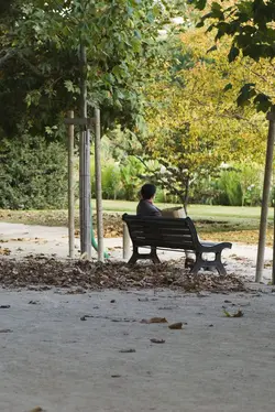 دانلود تصویر شاتراستوک مرد با کیسه خرید نشسته روی نیمکت پارک و چمن و درختان کد۱۵۲۰۳۵۷۰۷۲