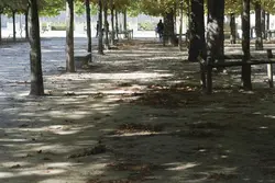 دانلود تصویر شاتراستوک پارک و درخت و نیمکت کد۱۸۹۳۰۲۸۲۰۱
