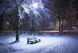 دانلود تصویر شاتراستوک نیمکت برفی زیر چراغ و خیابان و درختان پوشیده از برف کد۱۴۲۲۳۳۹۷۴۰