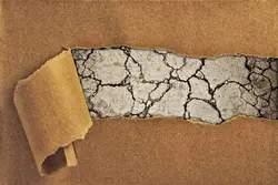 دانلود تصویر شاتر استوک برگه پاره شده با پس زمینه زمین ترک خورده کد ۰۷۲۱۳۰۵۹۴۳