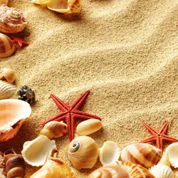 دانلود تصویر شاتر استوک پس زمینه شن با صدف و ستاره دریایی کد ۱۶۸۴۸۹۳۱۱۷