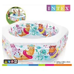 استخر بادی اینتکس – کد 56493