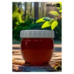 عسل سماق طبیعی کردستان