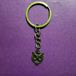 جاسوئیچی طرح جغد کد1