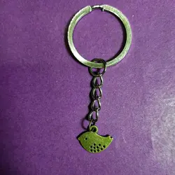 جاسوئیچی طرح دلفین کد1